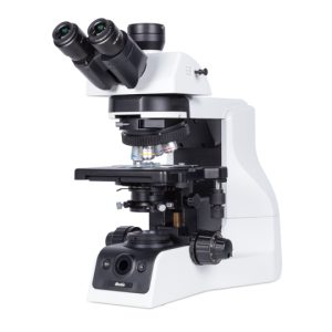 pa53_bio